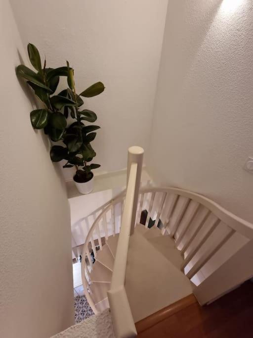 Le Dali-Duplex Au Pied De Castillet Perpignan Exteriér fotografie